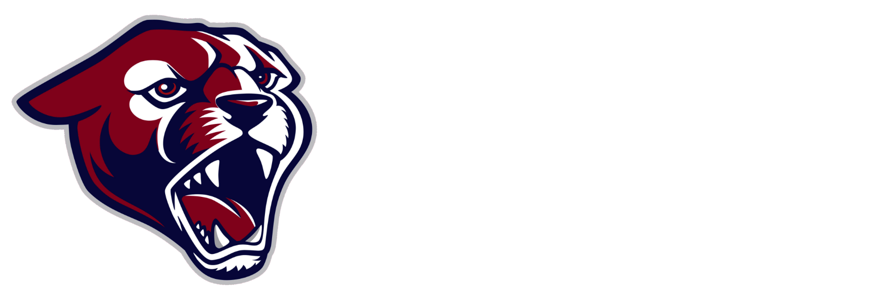 Perry Bands